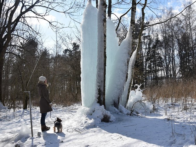 U Lovětína na Jihlavsku, se za mrazivého počasí nachází unikátní ledopád.