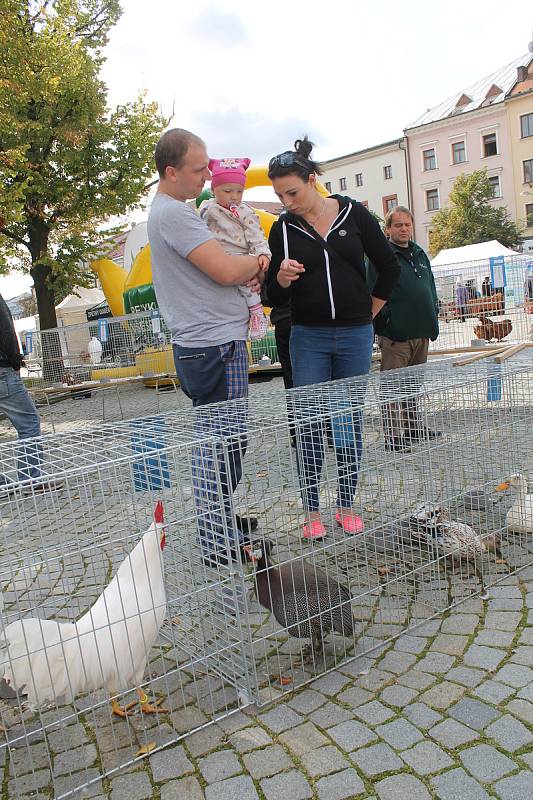 Masarykovo náměstí v Jihlavě ožilo aktivitami středních škol, zemědělců, chovatelů a dalších.