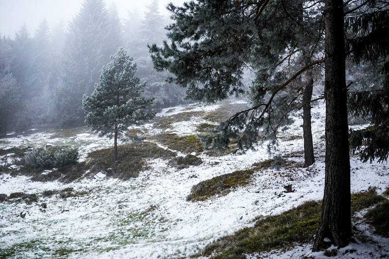 Území Geoparku Vysočina nabízí celou řadu přírodních krás. Z Telče na Míchovu skálu, přes těžební lom v Mrákotíně až na hrad Roštejn.