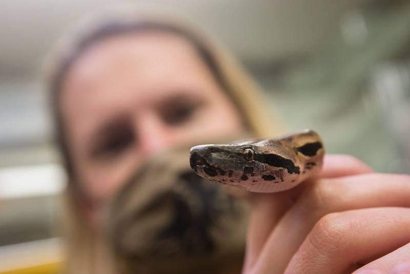 Zoologická zahrada v Jihlavě.