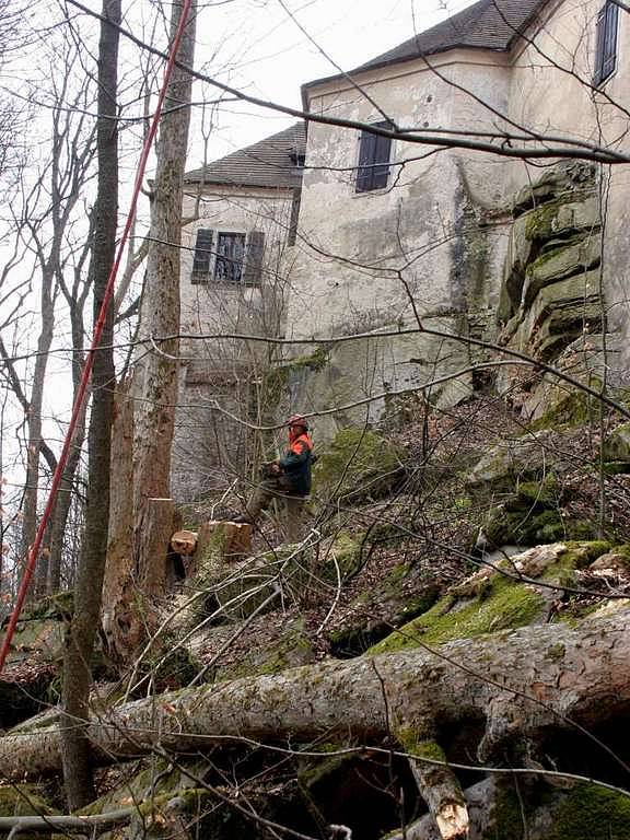 Kácení nebezpečných stromů v blízkosti hradu Roštejna.