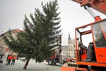 Vánoční strom, který od včerejšího rána stojí v horní části jihlavského Masarykova náměstí, rostl u panelového domu číslo osmnáct na sídlišti Demlova, kde už vadil. Jeho větve narážely do oken a fasády. 