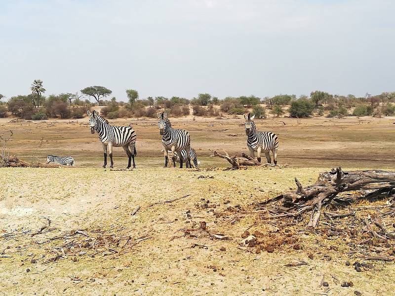 Botswana.