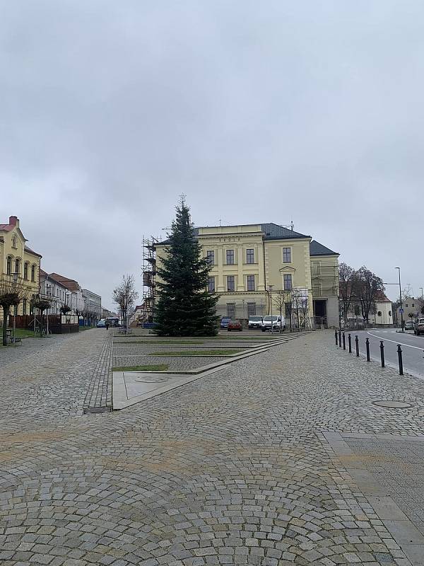 Vánoční strom už stojí také na náměstí v Třešti, i tam ho rozsvítí první adventní neděli.