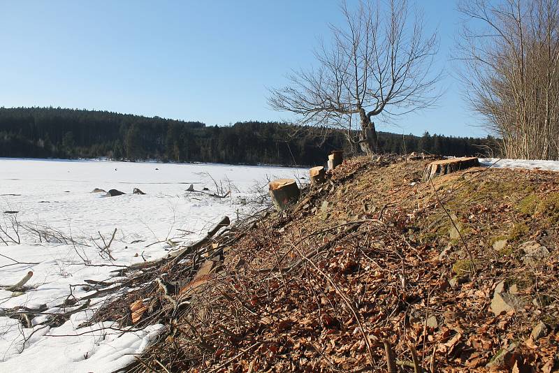 Velký Pařezitý rybník  v pátek 15. února 2019.