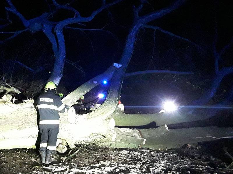 Náročnou noc za sebou mají vysočinští hasiči. Jen od půlnoci do sedmi hodin ráno v sobotu 5. prosince zasahovali u desítek spadlých stromů.