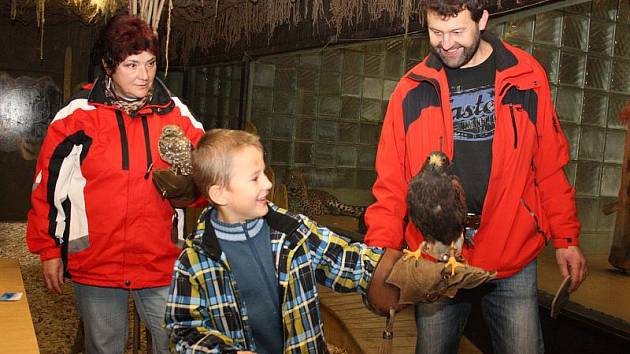 Odvaha nechyběla dětem, které se v sobotu odpoledne zúčastnily v jihlavské zoologické zahradě dne dravců a sov. Káně Harrisovo manželů Školoudových, kterému říkají Fanda, si s dětmi rozumí a je na ně zvyklé.