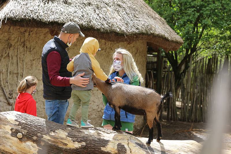 Zoo Jihlava loni v květnu.