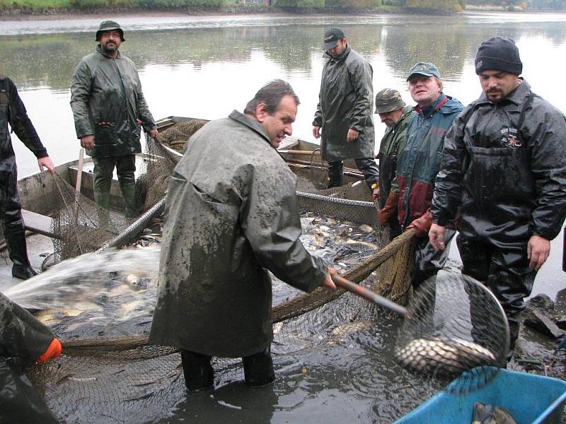 Výlov Štěpnického rybníka v Telči přilákal v sobotu dopoledne zástup zvědavců včetně rodin s dětmi. 