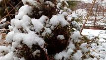 Po jarních dnech se v pátek 5. března na Vysočinu ještě vrátila zima, sněžilo i na Jihlavsku.
