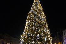 Vánoční strom ve Velkém Meziříčí.