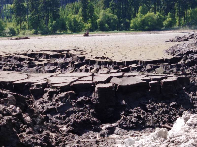 Velký Pařezitý rybník, neděle 2. června 2019.