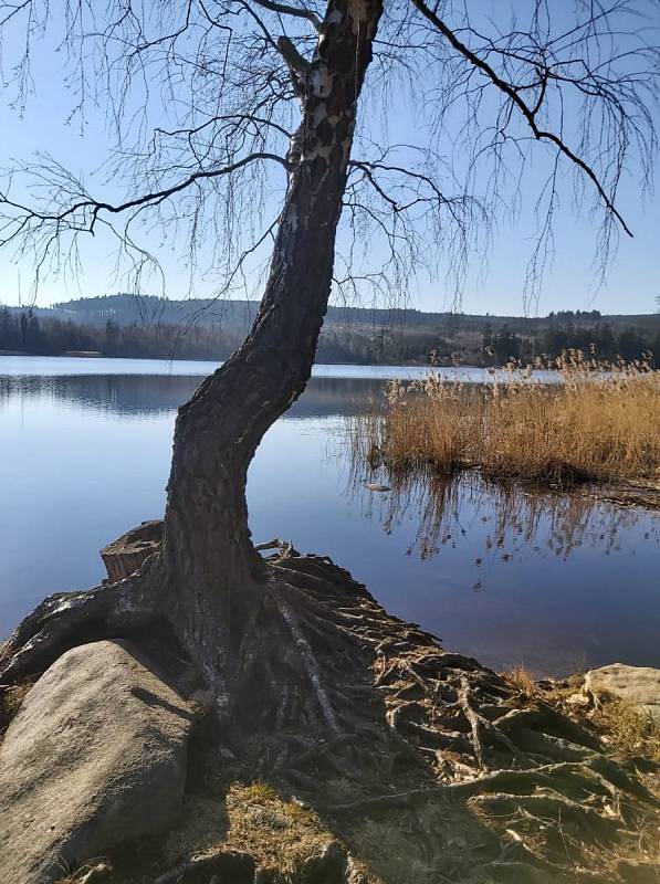 Okolí Velkého Pařezitého rybníka nabízí pestré vyžití.