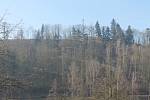 I u Malého Beranova mizí lesy kvůli kůrovcové kalamitě.