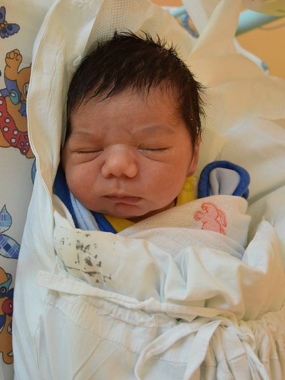 Alex Cina, 24. 8. 2015, 2 590 g, 46 cm, Jihlava