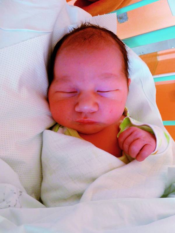 Tomáš Jirsa, 29. 3. 2015, 3 840 g, 51 cm, Luka nad Jihlavou