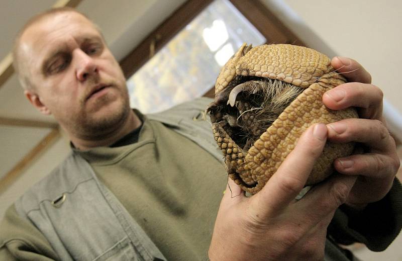 Tropický pavilon v jihlavské zoologické zahradě.