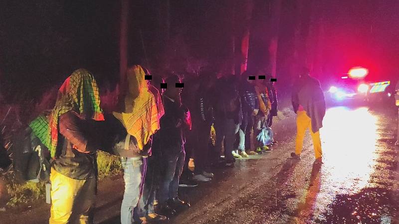 Na skupinu migrantů upozornil v pátek krátce před třetí hodinou ranní policisty náhodný řidič. Kráčeli se zavazadly po silnici mezi Jersínem a Nadějovem.