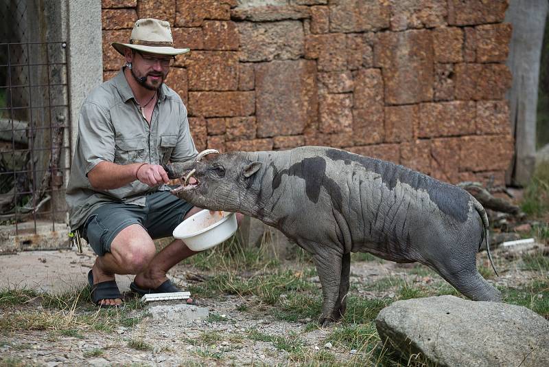 ZOO Jihlava, ilustrační foto