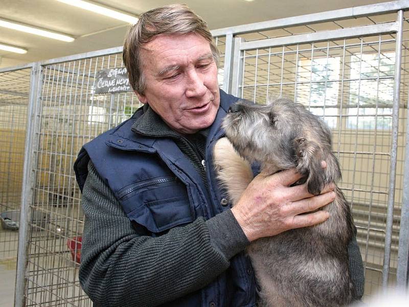 Vítězslav Vítkovič strávil se psy část svátků naposledy.