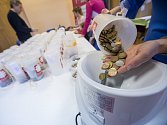 Sčítání darovaných peněz ze Tříkrálové sbírky v Oblastní charitě Jihlava.