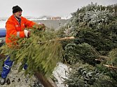 Do areálu  kompostárny v Henčově odvezou pracovníci Služeb města Jihlavy všechny odstrojené vánoční stromky, které lidé dají k popelnicím. Dřeviny se poté rozdrtí na štěpkovači a skončí jako součást kompostu.