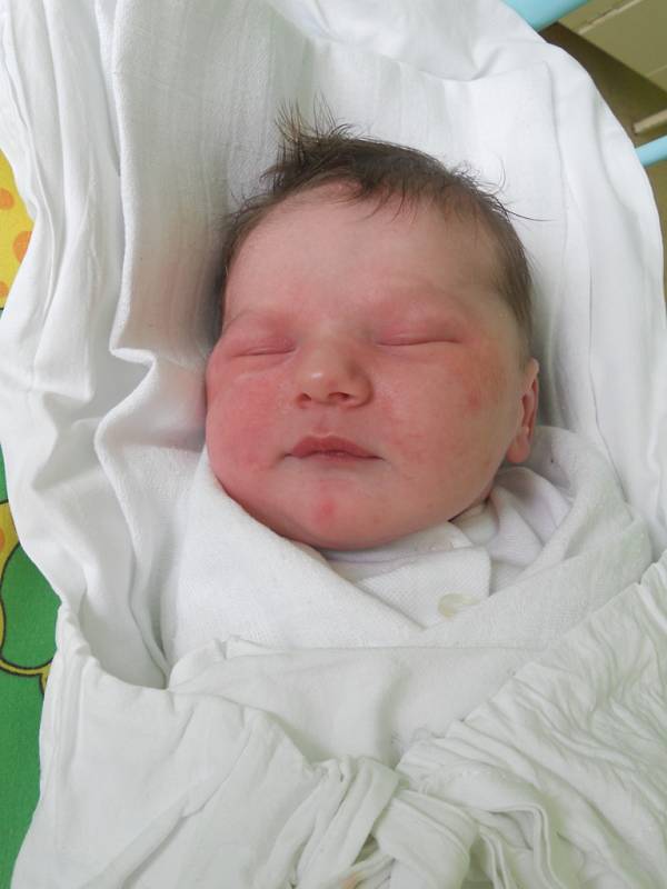 Edmond Lindourek, 27. 3. 2013, 3 680 g, 51 cm, Hybrálec