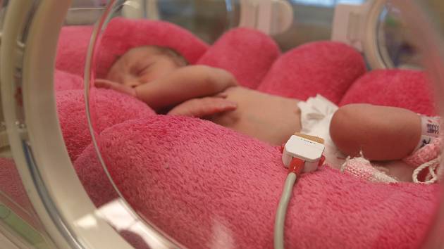 Dva nové inkubátory za téměř milion korun má jihlavská nemocnice.