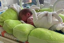 Hřejivé ruce pořídila pro novorozená miminka jihlavská nemocnice.