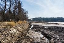 Vypuštěný Velký Pařezitý rybník na začátku dubna.