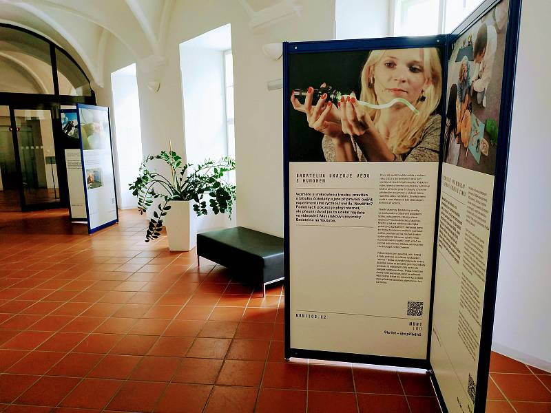 Výstava v Univerzitním centru Telč. Foto: archiv UCT