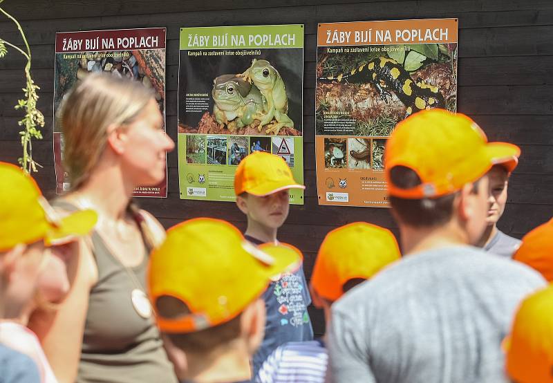 ZOO Jihlava i letos po celé léto pořádá příměstské tábory, ve kterých se děti seznámí se s životem zvířat v jihlavské zoo, dozví se řadu zajímavostí o rozmanitosti živočišné říše i její ochraně.