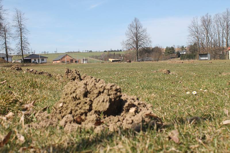 Fotbalové hriště v Puklicích čeká rekonstrukce.