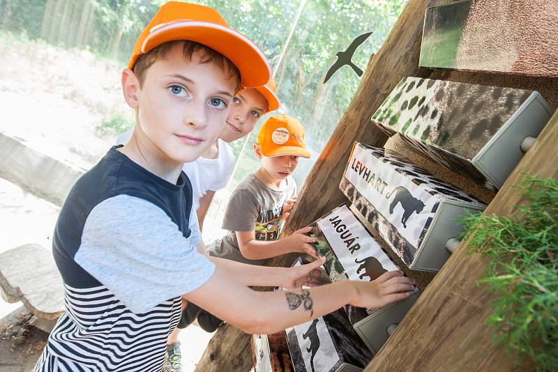 ZOO Jihlava i letos po celé léto pořádá příměstské tábory, ve kterých se děti seznámí se s životem zvířat v jihlavské zoo, dozví se řadu zajímavostí o rozmanitosti živočišné říše i její ochraně.