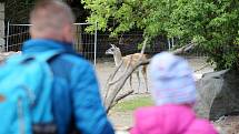 Zoo Jihlava loni v květnu.