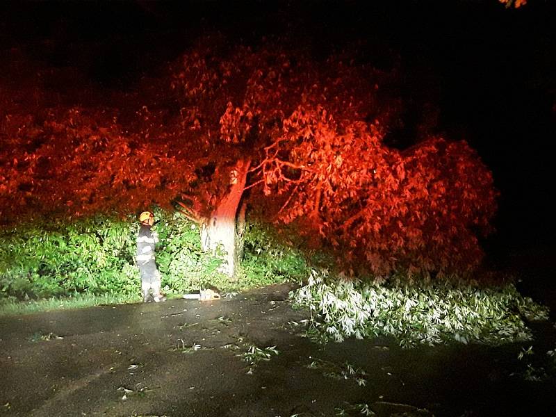 Hasiči opět nejčastěji odstraňovali stromy a větve, které padly na komunikace a bránily tak plynulému provozu.