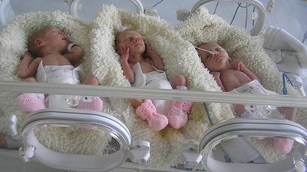 Holčičky Anička, Barborka a Maruška Strašíkovy byly krátce po porodu umístěny do inkubátoru. Narodily se předčasně v jihlavské porodnici letos 13. srpna.