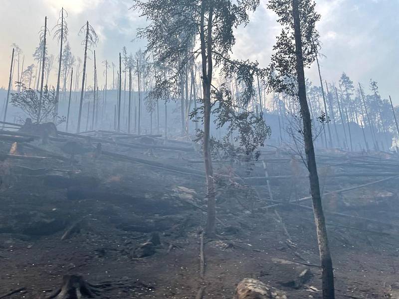 Hasiči z Vysočiny pomáhají v boji s ohněm v národním parku České Švýcarsko, konkrétně přímo u u Pravčické brány.