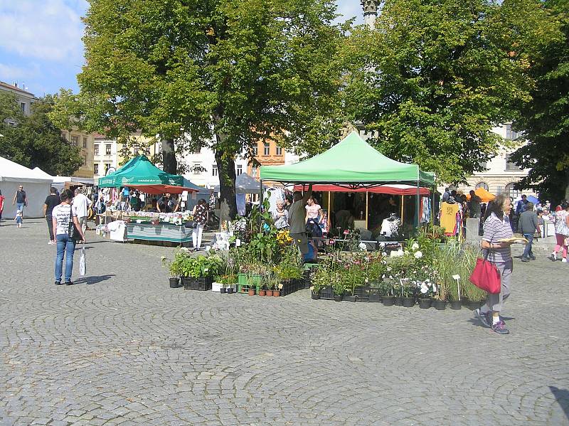 Vyhlášení soutěže Regionální potravina Vysočiny na Masarykově náměstí v Jihlavě