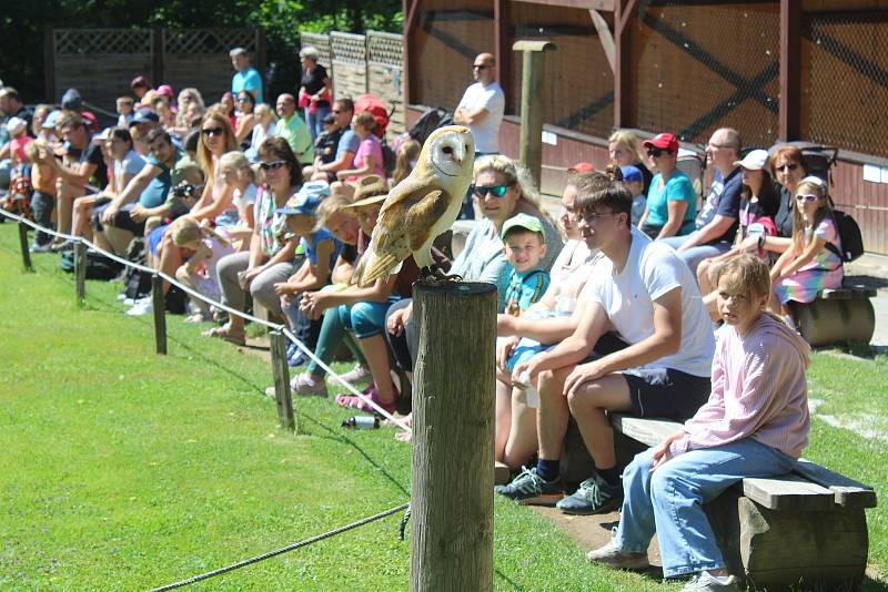 Jihlavská zoo je nejvíce navštěvovaným turistickým cílem Vysočiny. Divácky atraktivní jsou zejména komentovaná krmení zvířat.