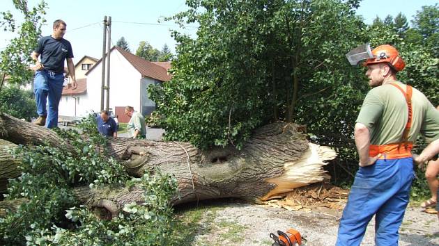 Noční bouře, která se přehnala nad obcí Moraveč na Pelhřimovsku, přelomila mohutný staletý strom. Odstranění polomu stálo tamní dobrovolné hasiče několik hodin práce.