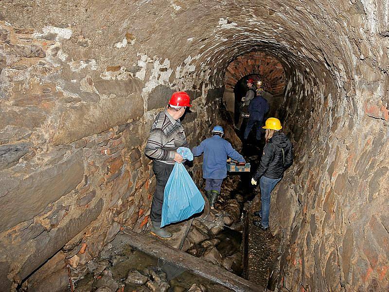 Deratizátoři si musí dávat pozor, kam nástrahy umisťují. Nejlepší je zejména suché místo. Na tom, jak je nástraha vysoko, nezáleží, potkan je dobrý šplhoun.