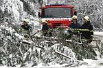 Na mnoha místech Vysočiny odklízeli jednotky hasičů pod tíhou mokrého sněhu spadané stromy.