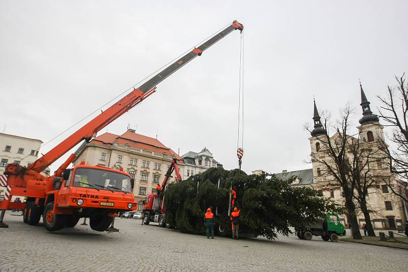 Instalace vánočního stromu na Masarykově náměstí v Jihlavě.