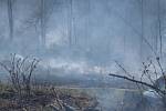 Požár lesního porostu u Ždánic na Havlíčkobrodsku