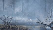 Požár lesního porostu u Ždánic na Havlíčkobrodsku
