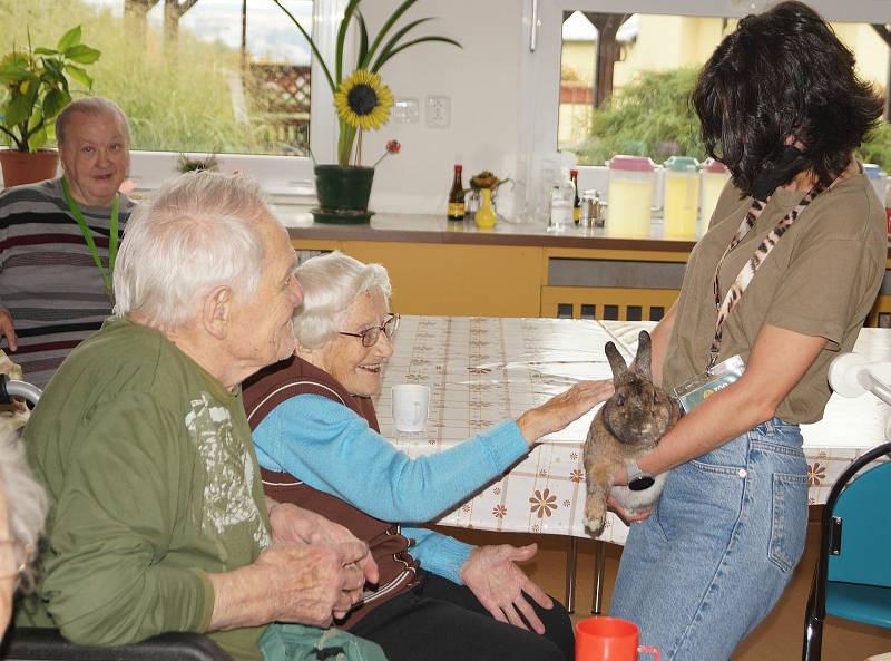 Klienti Integrovaného centra sociálních služeb se seznamovali s jídelníčkem zvířat díky jihlavské zoologické zahradě.