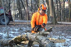 Při kácení stromů v lesoparku Velký Heulos pomáhá dřevorubcům těžká technika. Teploty pod nulou jsou pro tyto práce ideální.