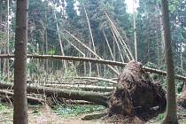 Stromy u Velkého Pařezitého rybníku, který je oblíbeným přírodním koupalištěm v jihlavském okrese, zdecimovala bouřka s větrnou smrští.