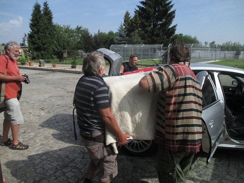 Klokan Kuki skončil po odchytové akci v jihlavském útulku, kde si ho v pátek dopoledne vyzvedl šťastný majitel Radek Helekal.